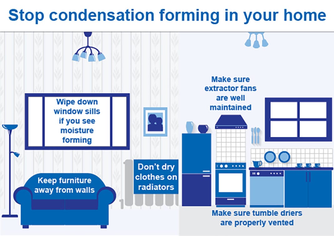 What Causes Dampness In Your House And How To Prevent It