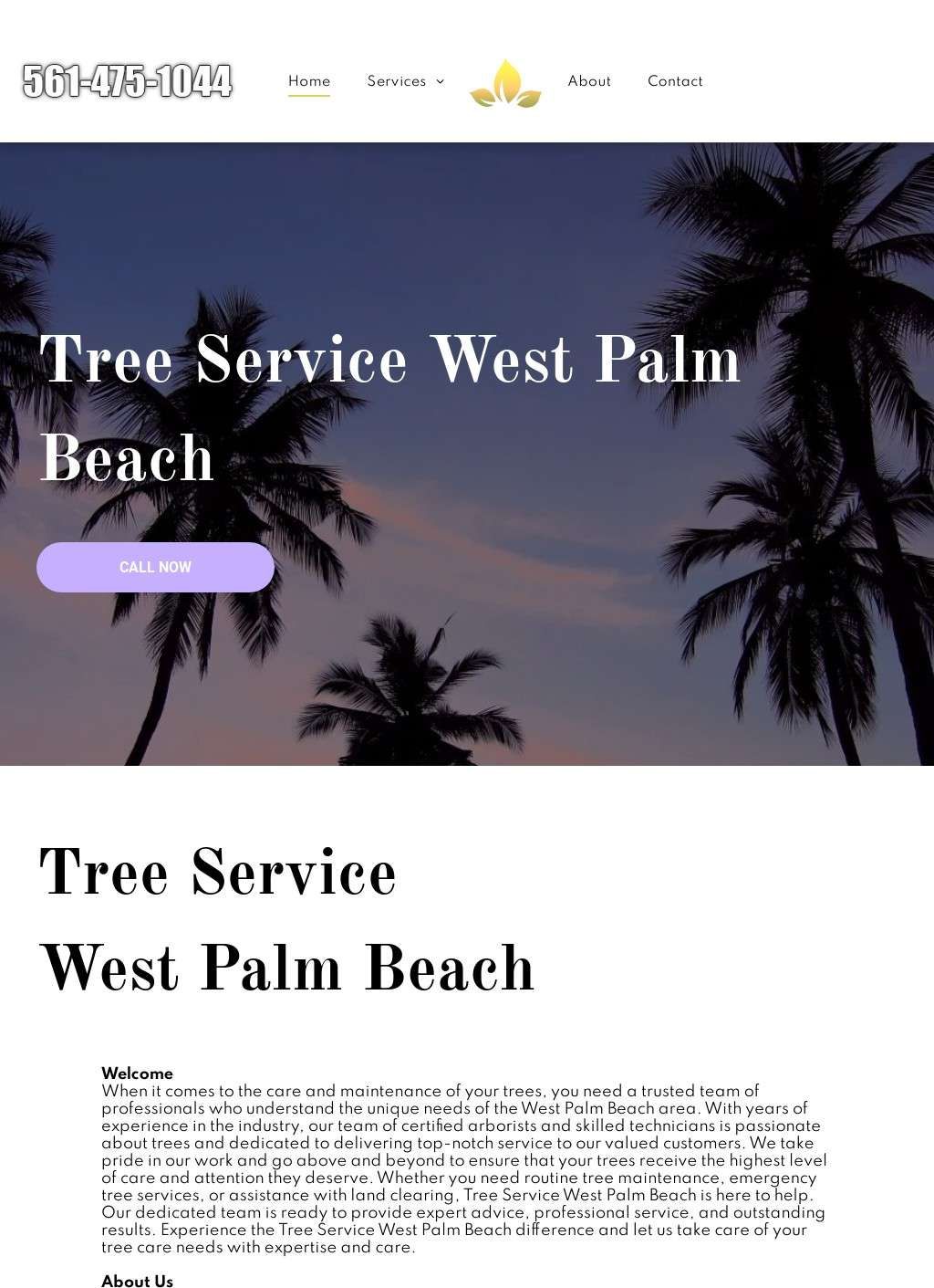 Tree Service West Palm Beach